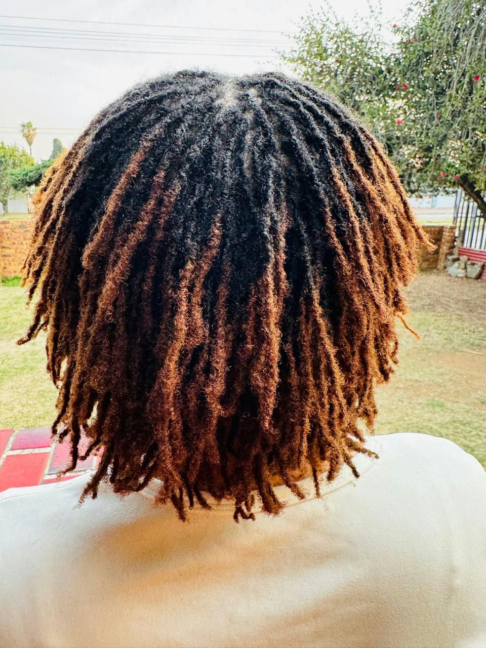 Mashrue Microlocs